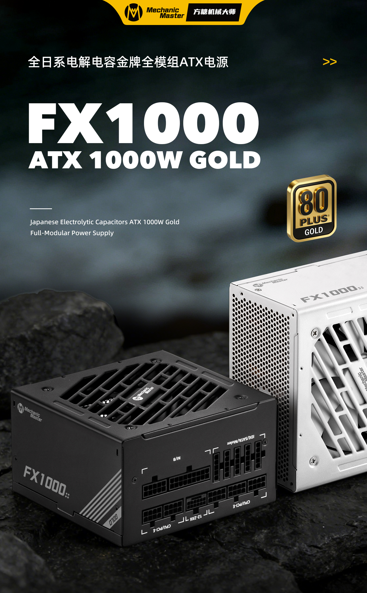 FX1000_01.jpg