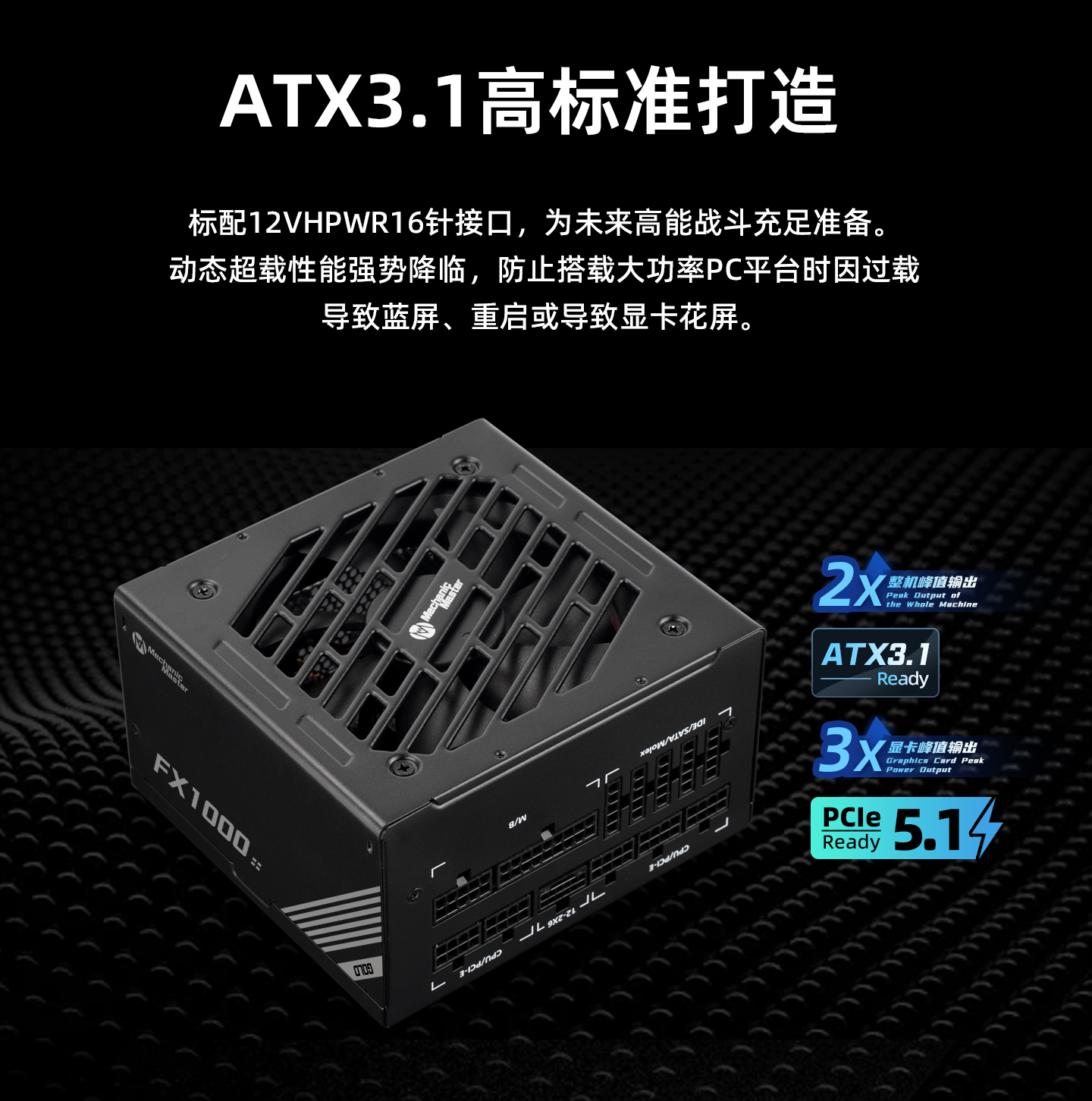 FX1000_06.jpg